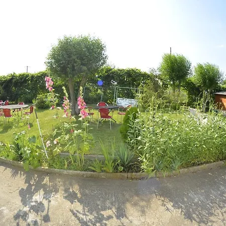 Casa Bucuria 3* 科斯蒂内什蒂