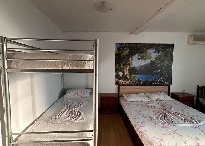 Casa Bucuria Casa de hóspedes 3*