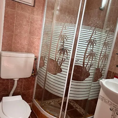 Guest house Casa Bucuria *