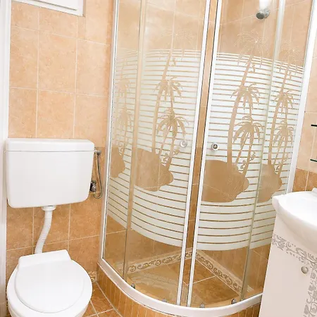 Casa Bucuria 3* 科斯蒂内什蒂